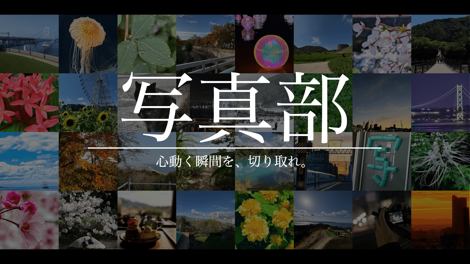 写真部