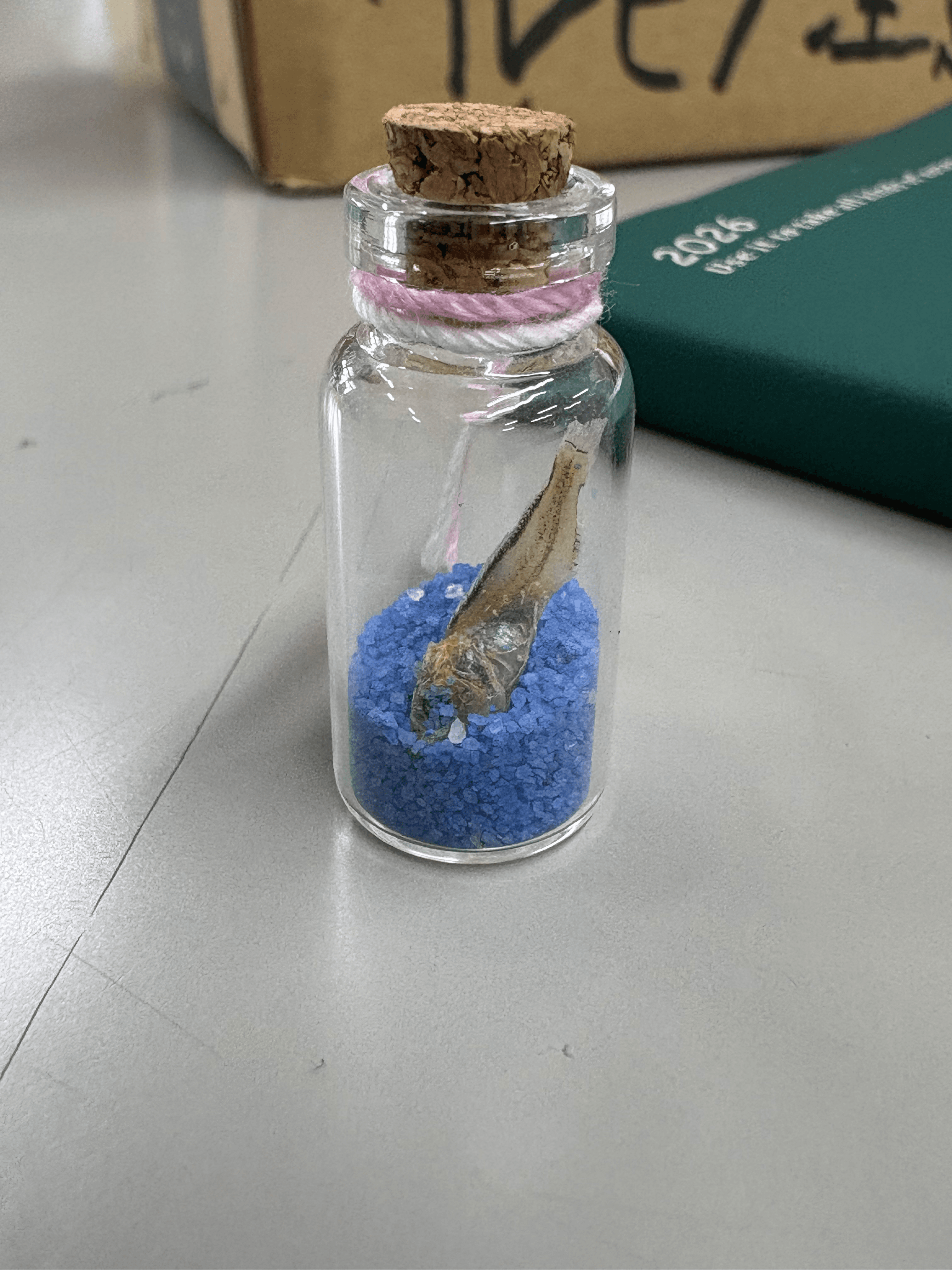 生物部